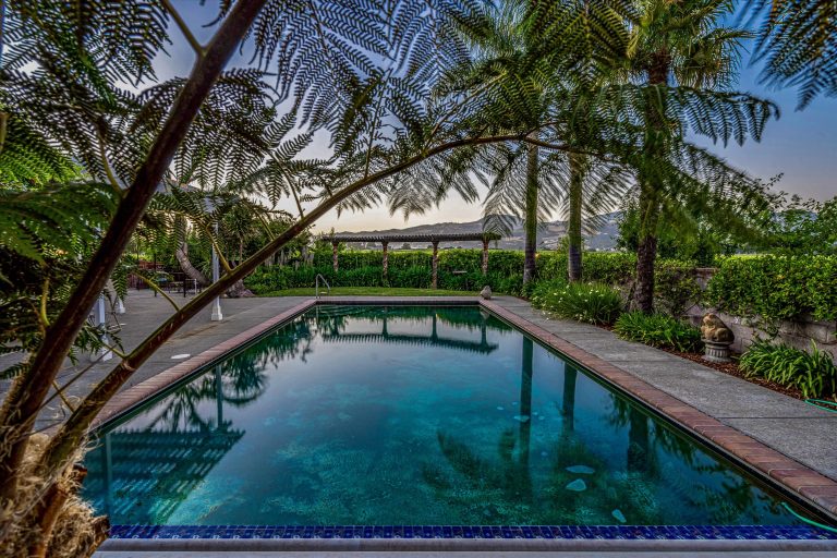 January 2026 Highlights