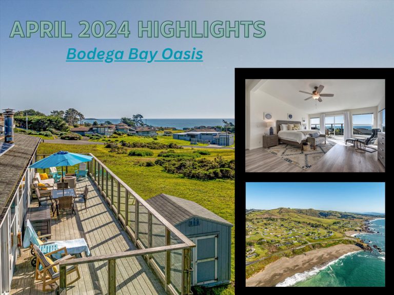 April 2024 Newsletter