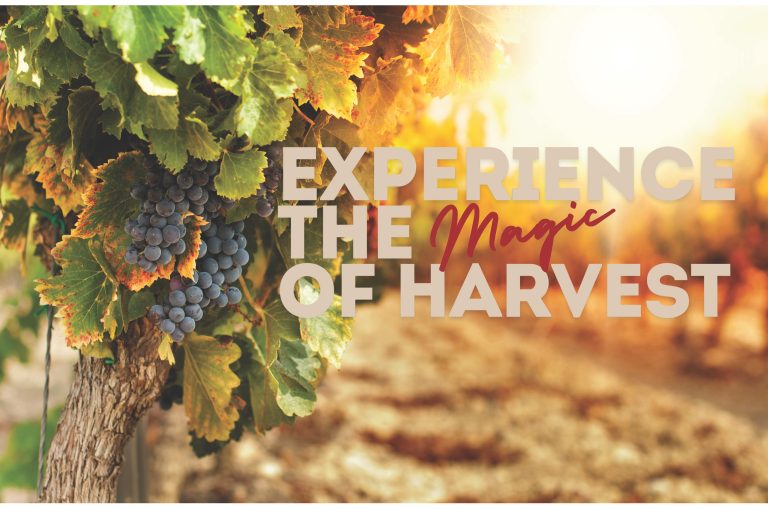 Experience the Magic of Harvest Season in Sonoma and Lake Counties: Your Guide to Wine Country Getaw