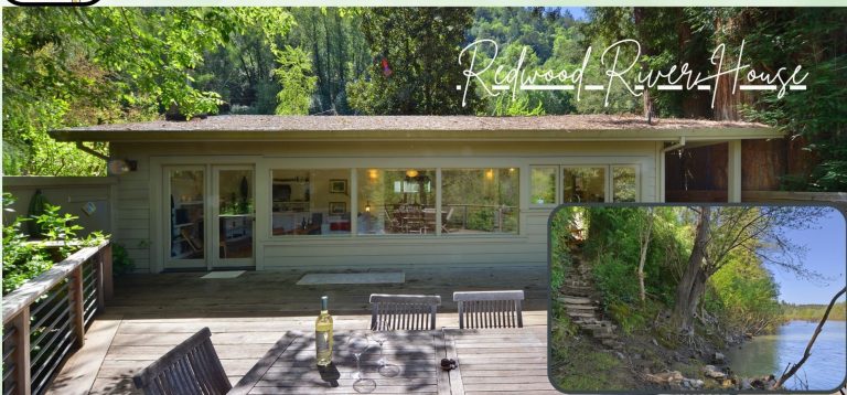 December 2024 Newsletter