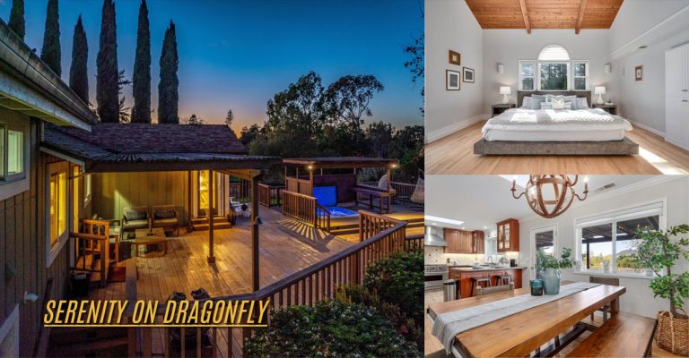 March 2024 Newsletter