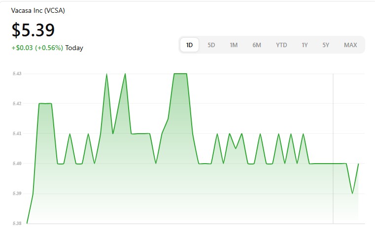 May 2025: What Is the Future of Vacasa?