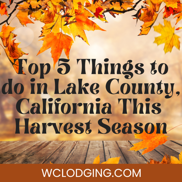 5 Things to Do in Lake County, California This Harvest Season