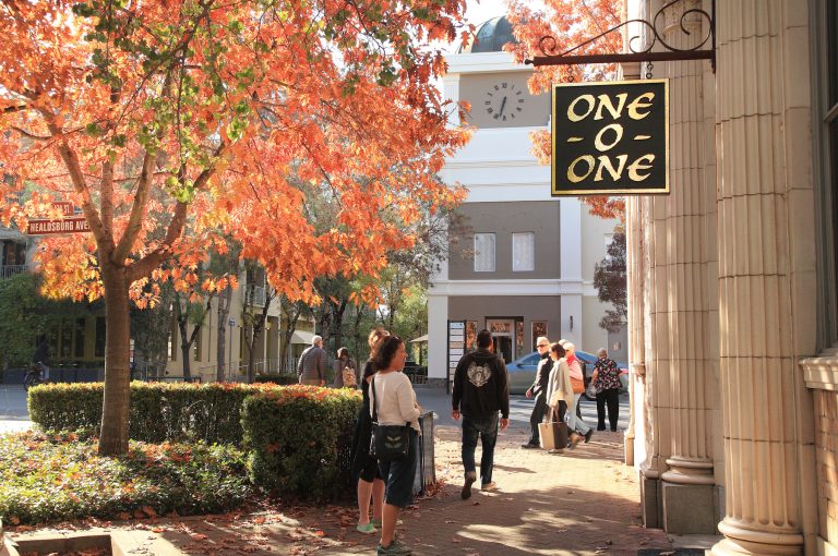 Rainy Day Things To Do in Sonoma County (A Local’s Guide)