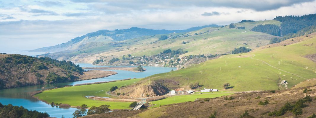 March 2022 Newsletter