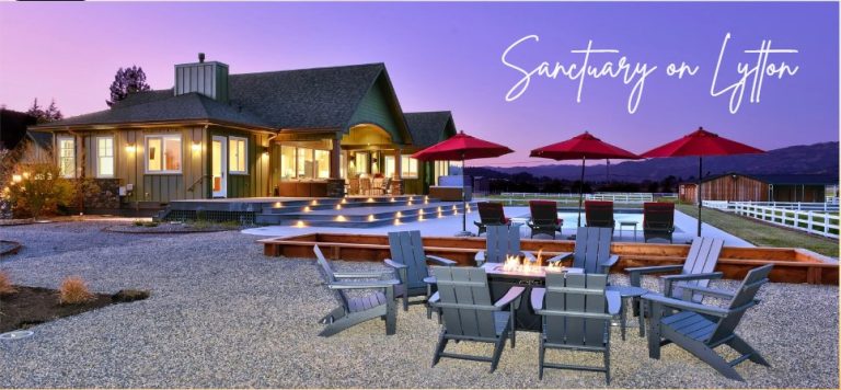 November 2024 Newsletter