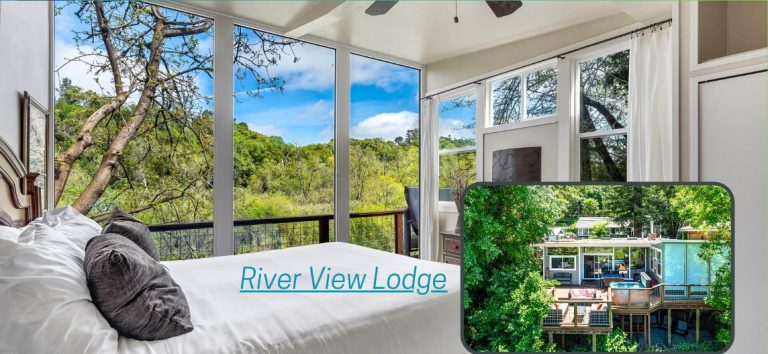 October 2024 Newsletter