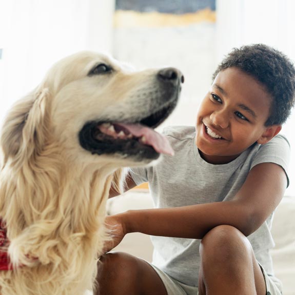 Thing To Do Pet Friendly