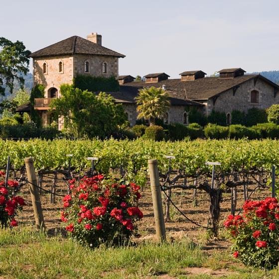 Things To Do Test TTD 2