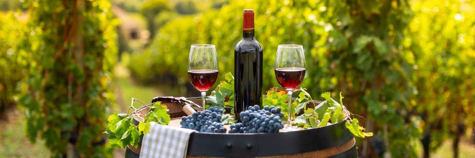 Bottle of wine sitting next to two glasses of wine outside