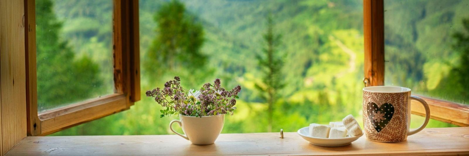 Flowers, coffe, and sugar sitting on windowsill
