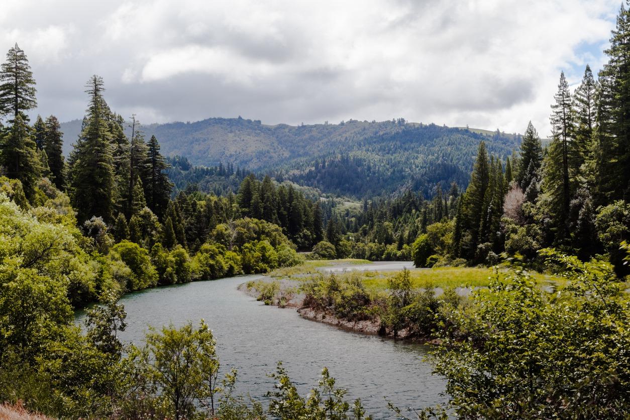 Body of water with mountains and trees in the background