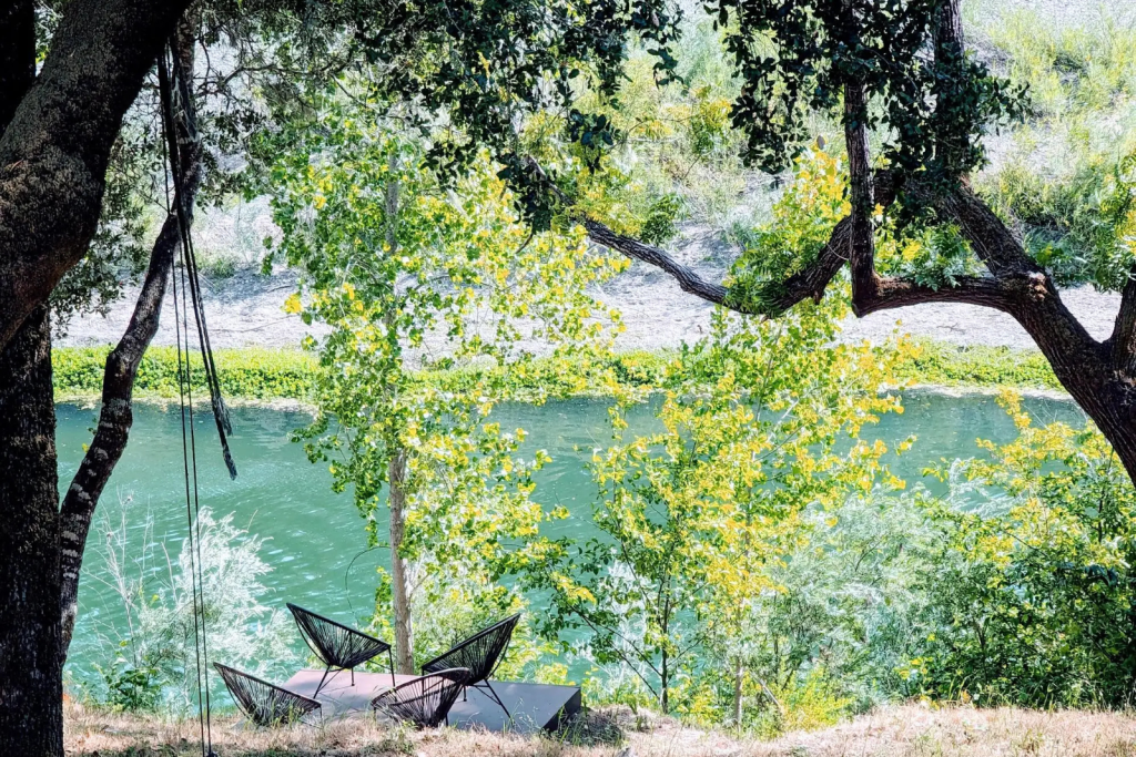 View of riverfront with trees
